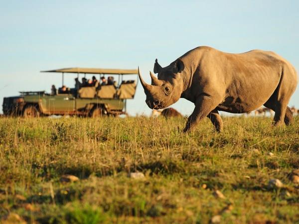 Wheelchair accessible South Africa self drive holiday
