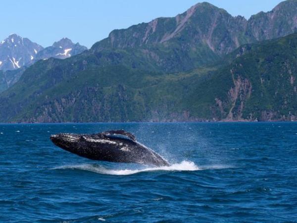 Alaska small group adventure holiday