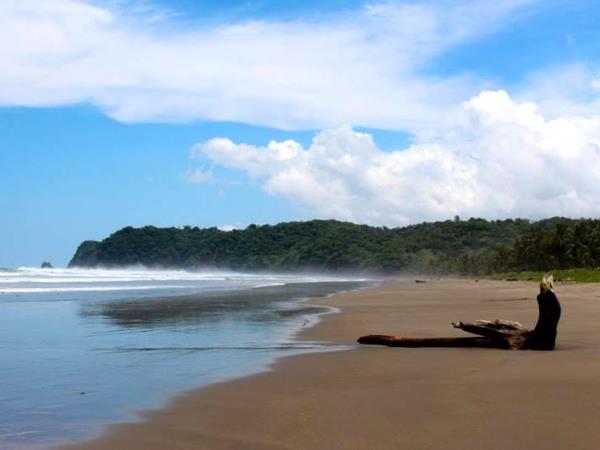 Volunteer with turtles in Costa Rica
