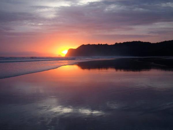 Volunteer with turtles in Costa Rica