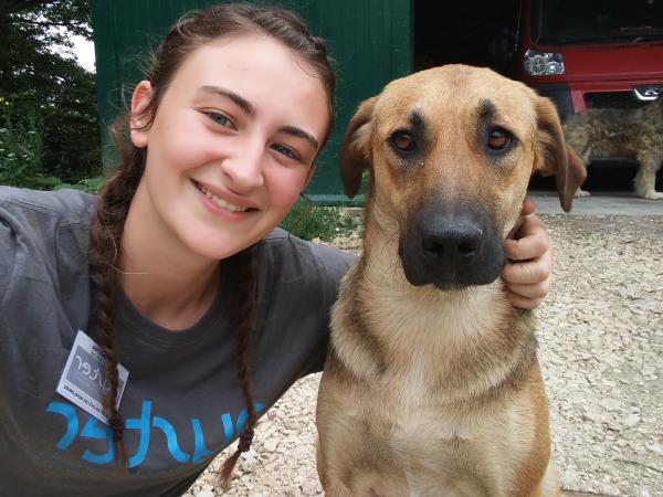 Volunteering with bears in Romania