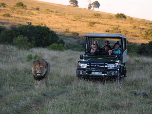 South Africa wildlife volunteering holiday