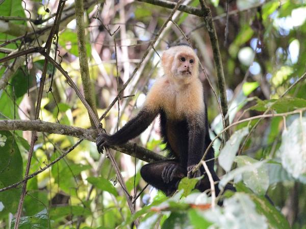 Costa Rica beaches & volcanos holiday
