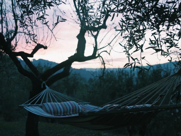 Yoga teacher training courses in Spain
