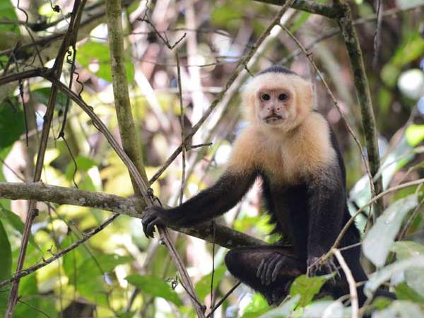 Costa Rica classic holiday