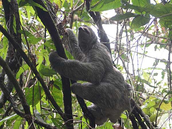 Costa Rica classic holiday