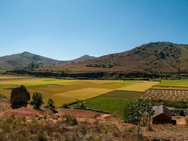 Private Madagascar holidays