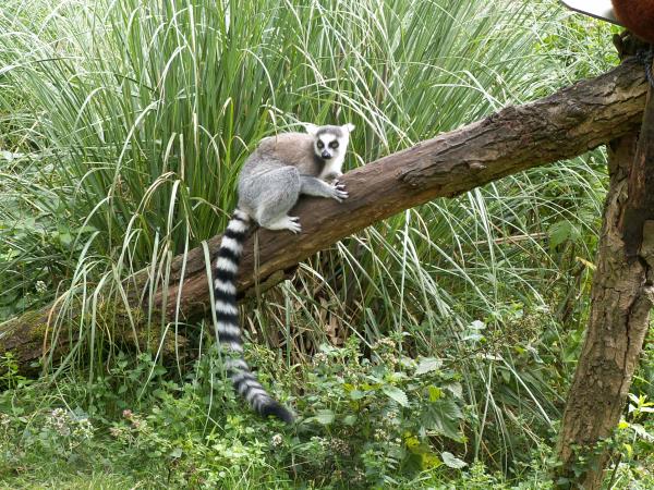 Private Madagascar holidays