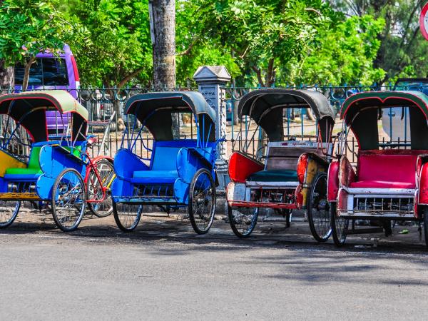 Java 13 day tour
