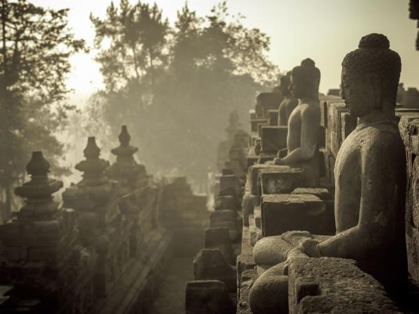 Java 13 day tour