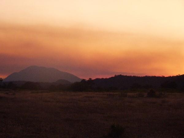 Northern Tanzania safari holiday