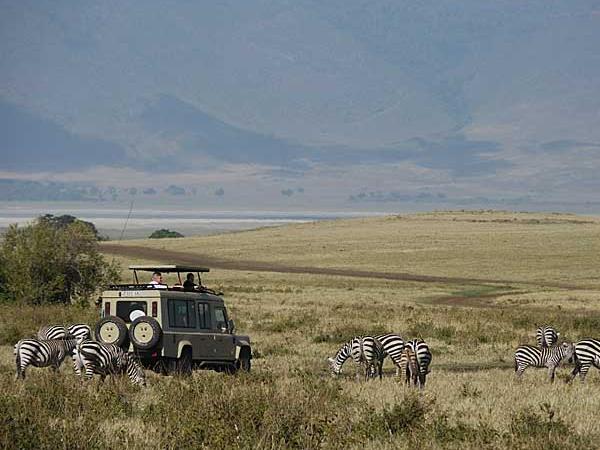 Northern Tanzania safari holiday