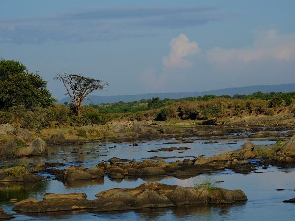 Selous & Ruaha safari in Tanzania