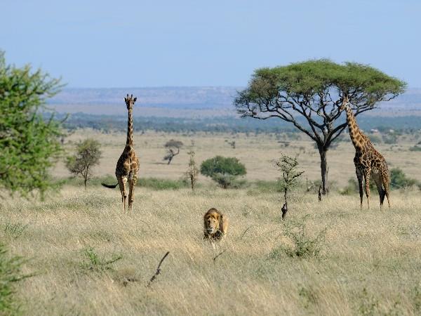 Tanzania off the beaten track safari