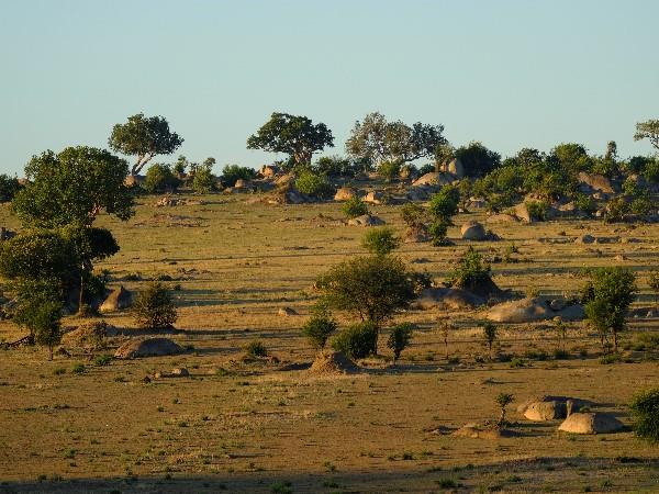 Tanzania off the beaten track safari