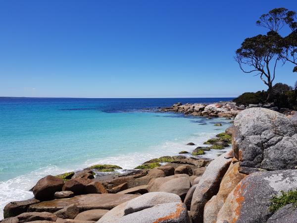 Tasmania East Coast tour, 3 days