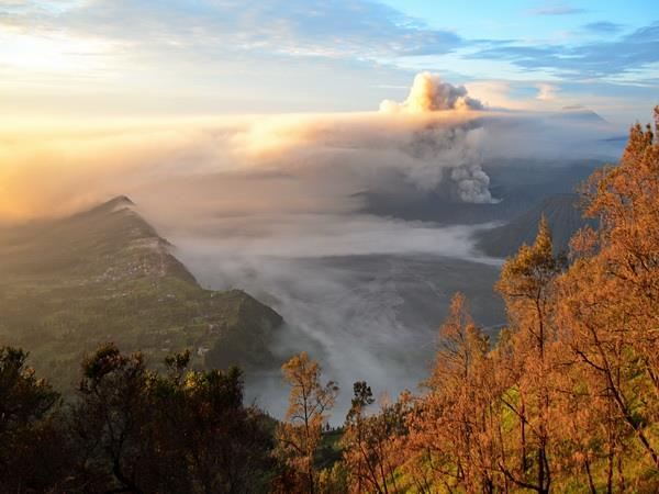 Java 12 day tour