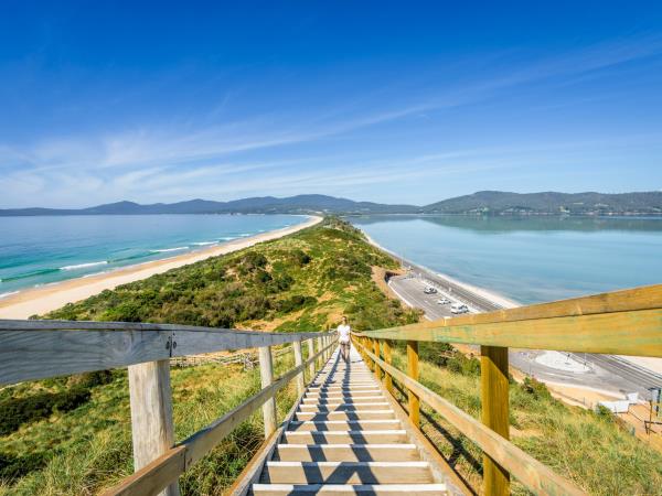 Tasmania small group tour, 13 days