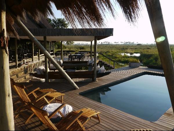 Botswana wildlife safari, meerkats & more