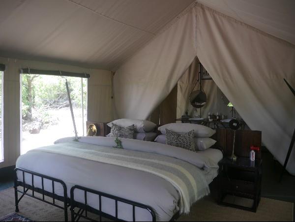 Botswana wildlife safari, meerkats & more