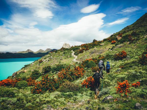Patagonia small group tour, Ultimate Patagonia
