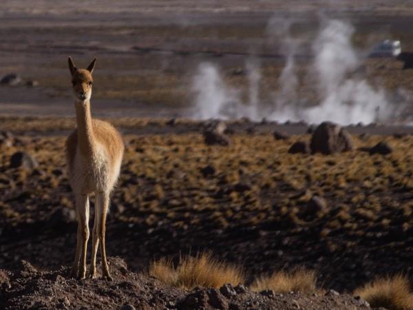 Chile 13 day tour, Atacama, Lakes & Patagonia