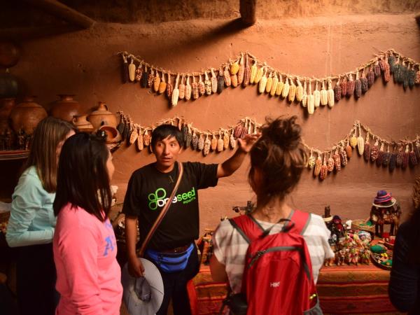 Peru 8 day trekking holiday, ultimate Machu Picchu