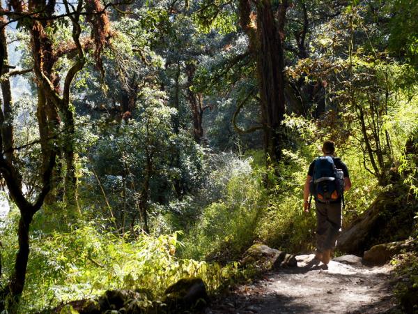Langtang trekking holiday & Kathmandu