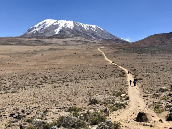Kilimanjaro summit trek and safari holiday, Tanzania
