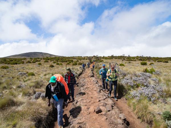 Kilimanjaro summit trek and safari holiday, Tanzania
