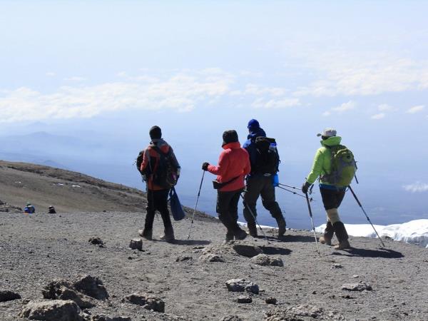 Kilimanjaro summit trek and safari holiday, Tanzania