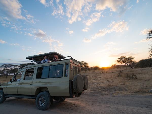Kilimanjaro summit trek and safari holiday, Tanzania