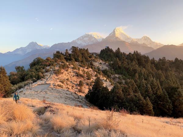 Annapurna teahouse trekking holiday, Nepal