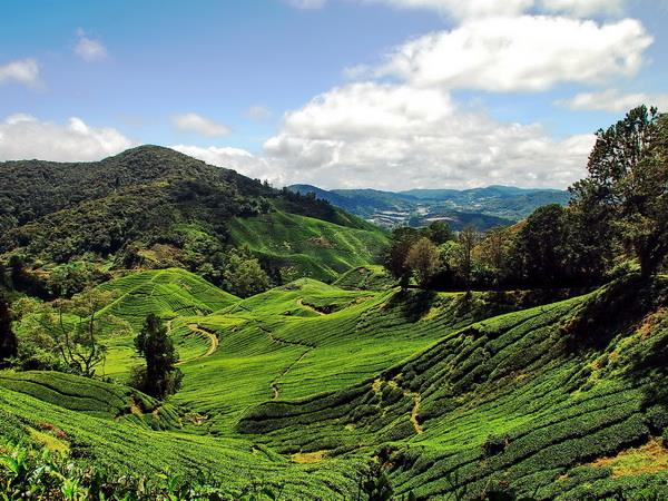 Malaysia tour, Coast to Coast