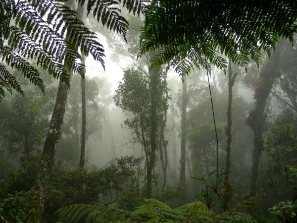 Tailor made Malaysia holidays