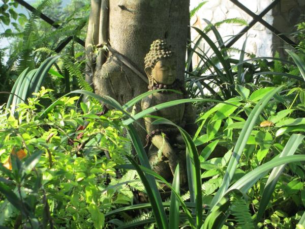 Nepal culture and wellness holiday