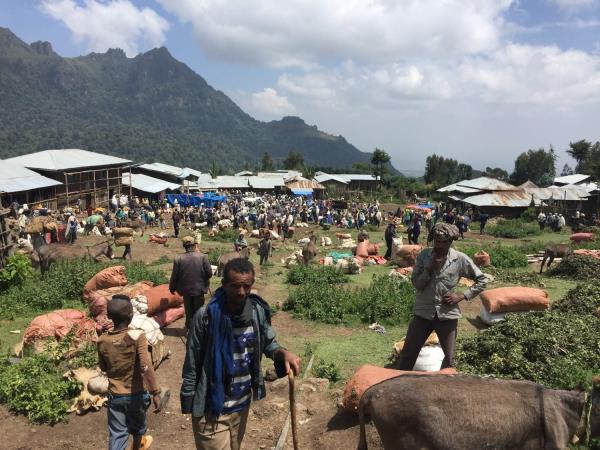 Ethiopia trekking in Wof Washa forest