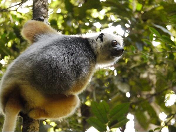 Madagascar tailor made holiday
