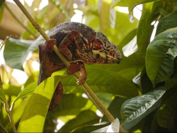 Madagascar tailor made holiday