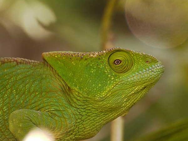 Madagascar tailor made holiday