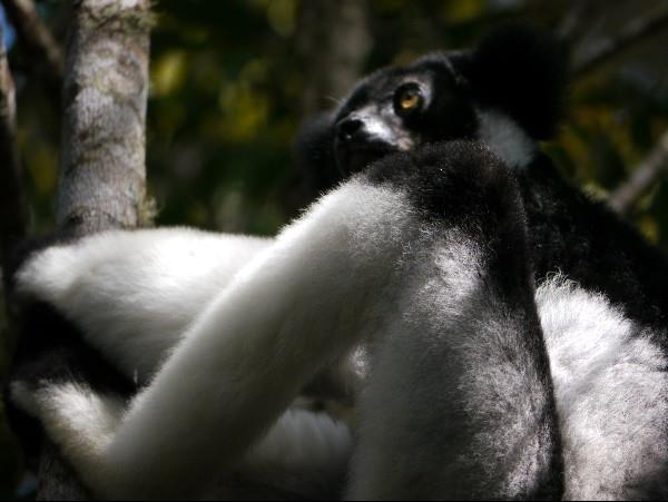 Madagascar tailor made holiday