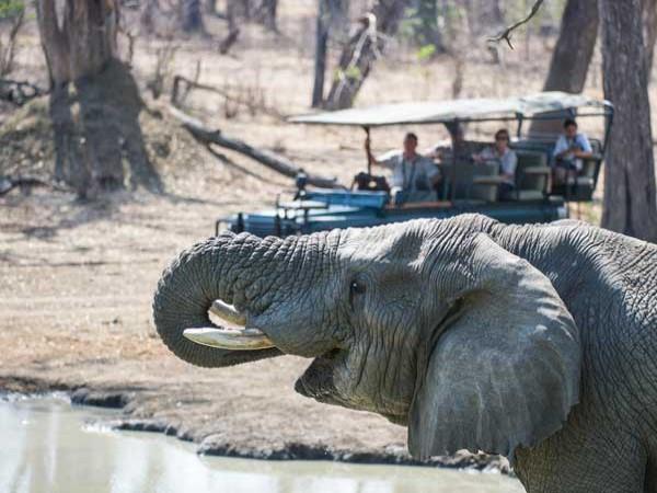 Zambia safari and Malawi beach holiday