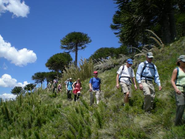 Chile walking tour, lake and volcano district