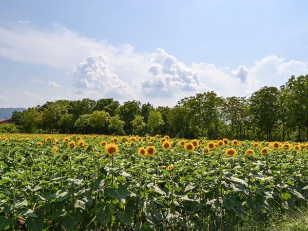 Umbria to Tuscany cycling & cooking holiday
