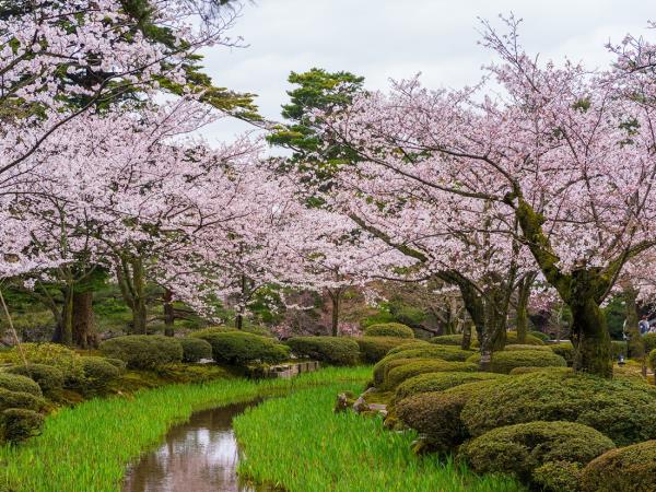 Trans Siberian rail tour, St Petersburg to Tokyo