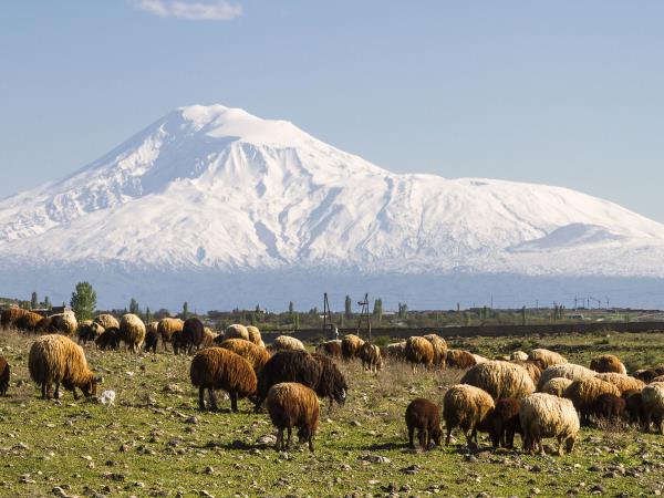 Georgia and Armenia 12 day tour