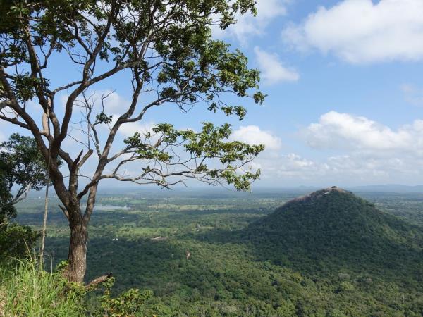 Sri Lanka tailor made tour, 13 days