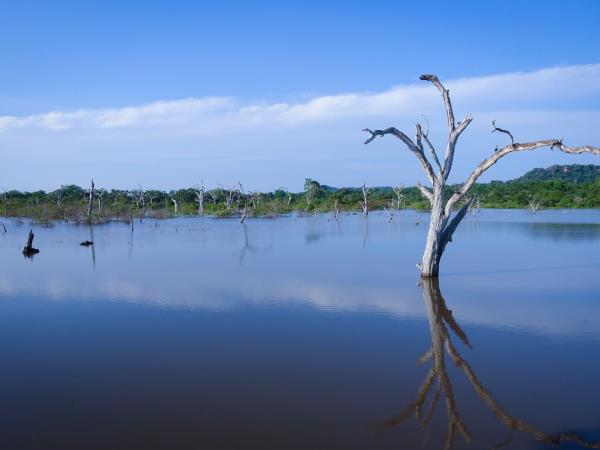 Sri Lanka tailor made tour, 13 days