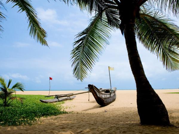 Sri Lanka tailor made tour, 13 days