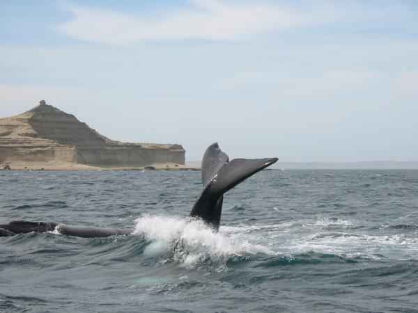Grand tour of Patagonia holiday